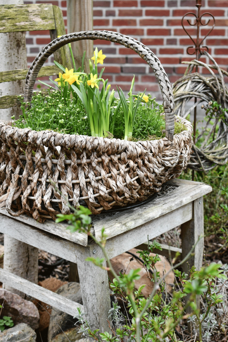 Osterdekoration für den Garten und die eigenen 4 Wände