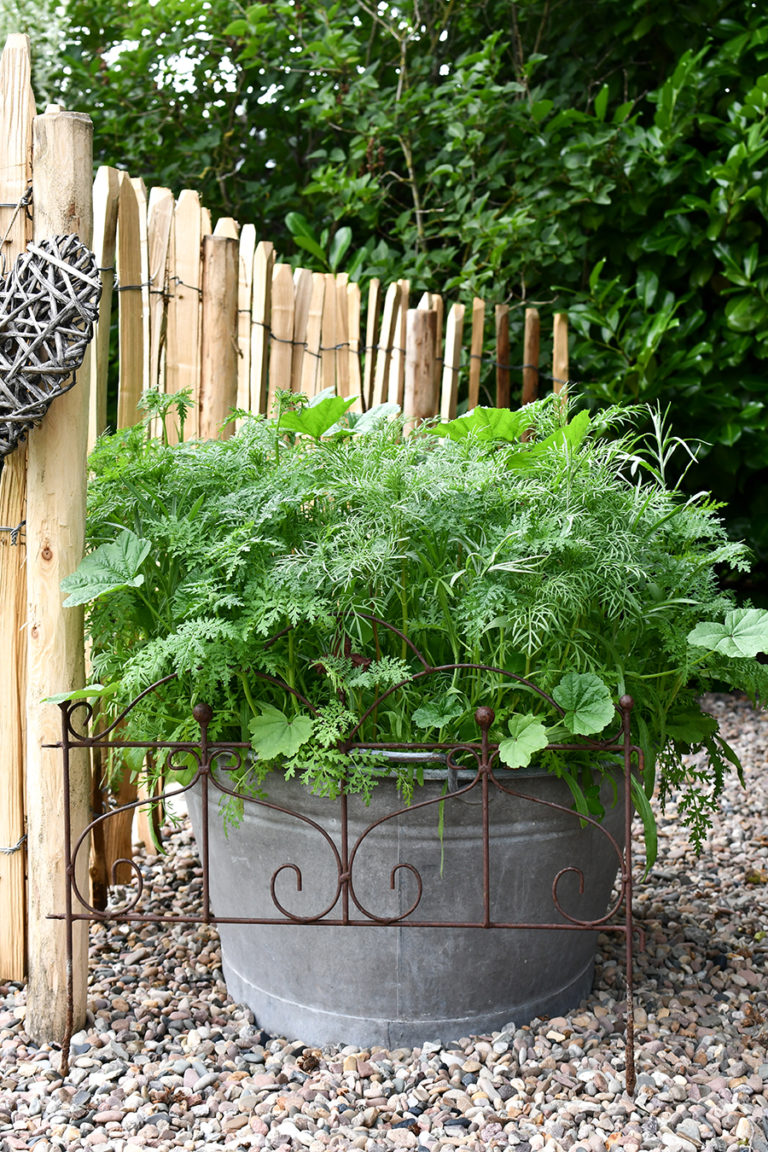 Staketenzaun aus Kastanie - natürliche Gartendekoration - vintage-diary